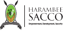 1672659507_Harambe-Sacoo